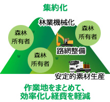 図5　3．素材生産量増加